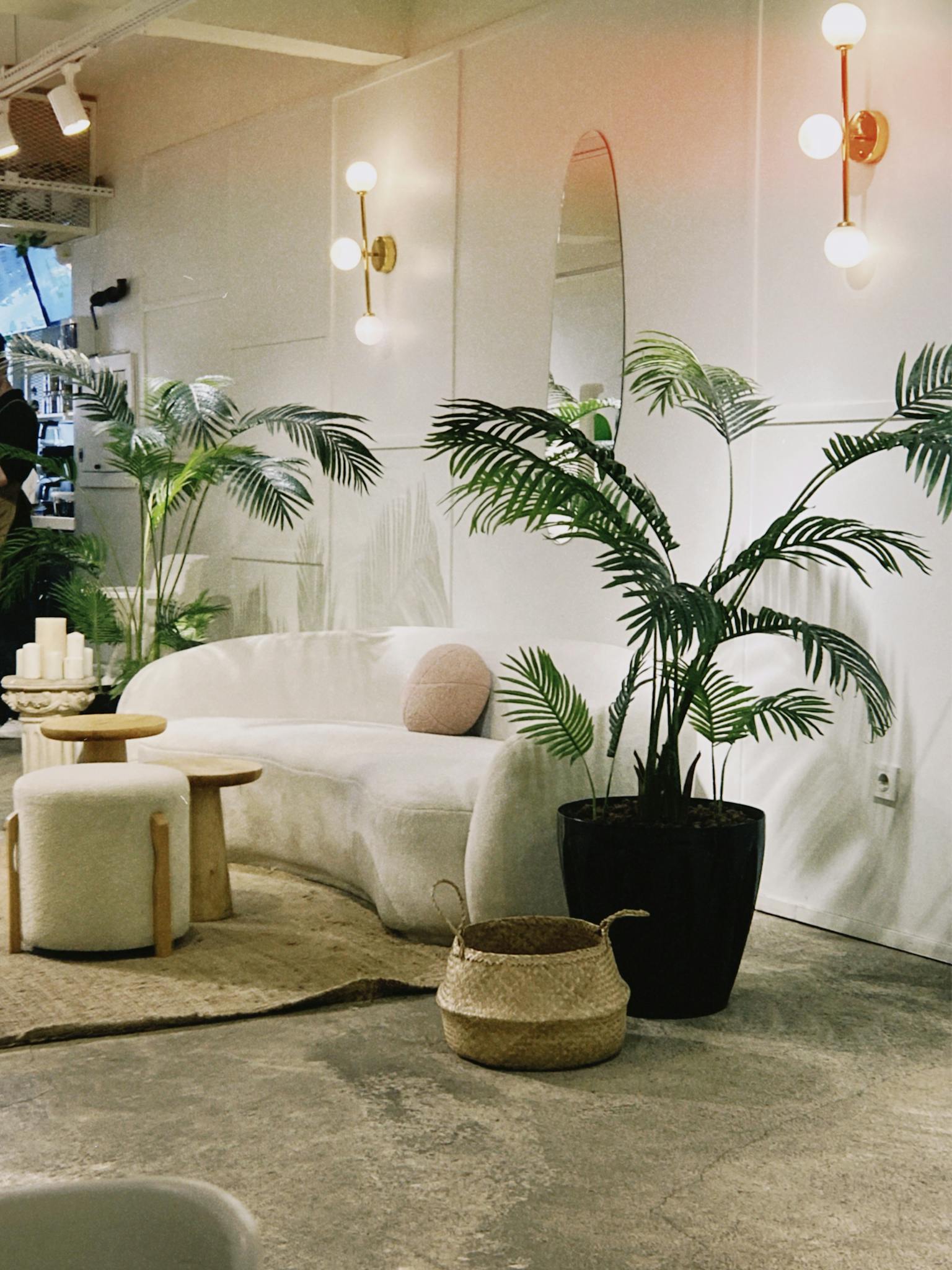 Stylish living room with white couch, indoor plants, and warm lighting.